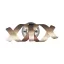 Ribbon fali lámpa Luxera -64356-