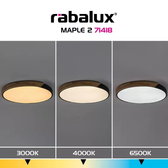 Maple2 mennyezeti lámpa Rábalux 71418 Maple2 mennyezeti lámpa Rábalux 71418