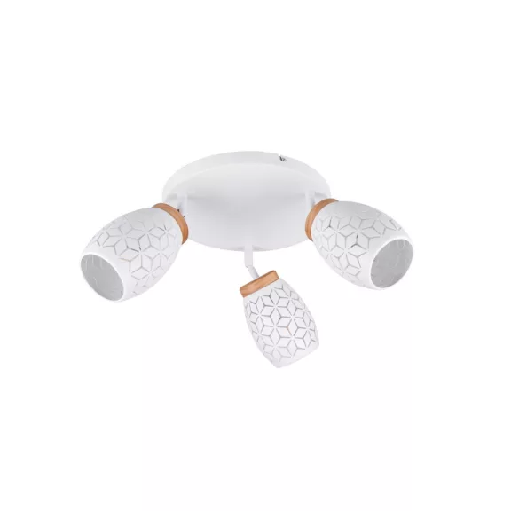 Bidar mennyezeti lámpa Trio R61573331