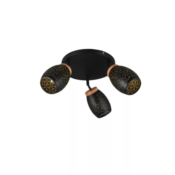 Bidar mennyezeti lámpa Trio R61573380