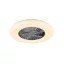 Visby ventilátoros lámpa Trio R62402106