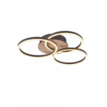 Circle mennyezeti lámpa Trio R62823135