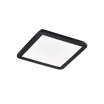 Camillus mennyezeti lámpa Trio R62931832
