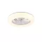 Mora ventilátoros lámpa Trio R64032101