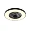 Linköping ventilátoros lámpa Trio R64462102