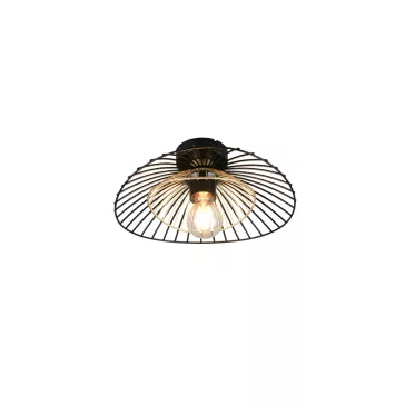Lauris mennyezeti lámpa Trio R66791032