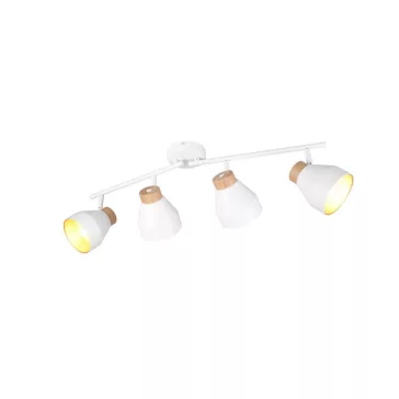 Valentin spot lámpa Trio R81924031