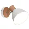 Delume spot lámpa Trio R86671031