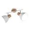 Delume spot lámpa Trio R86672031
