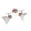 Delume spot lámpa Trio R86672031