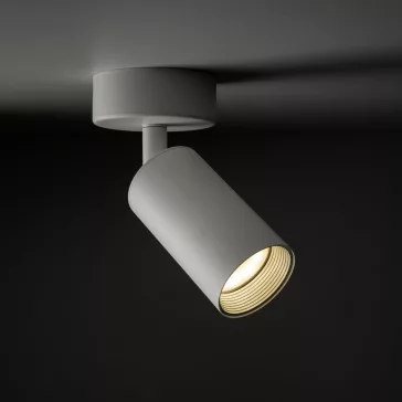 Amis spot lámpa TK Lighting 10794