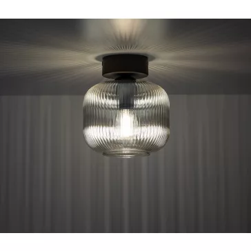 Salvia mennyezeti lámpa TK Lighting 11358