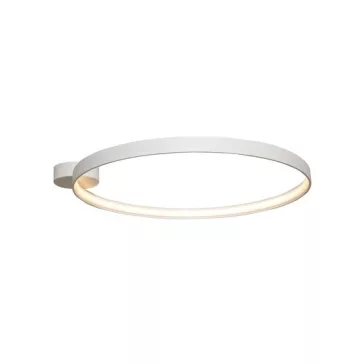 Circle LED mennyezeti lámpa Zuma Line ZU-LA0769