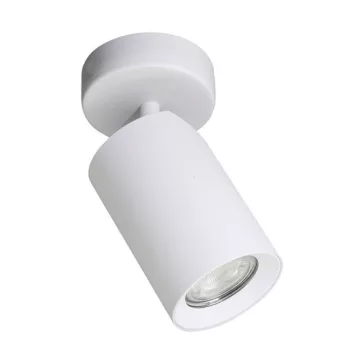 Tore spot lámpa Zuma Line ZU-TLS006-WH
